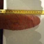 размер пениса 