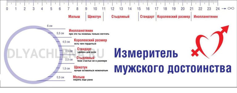 Фото члена в неэрегированном состоянии