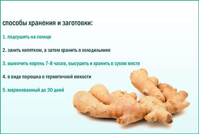 Имбирь и простата