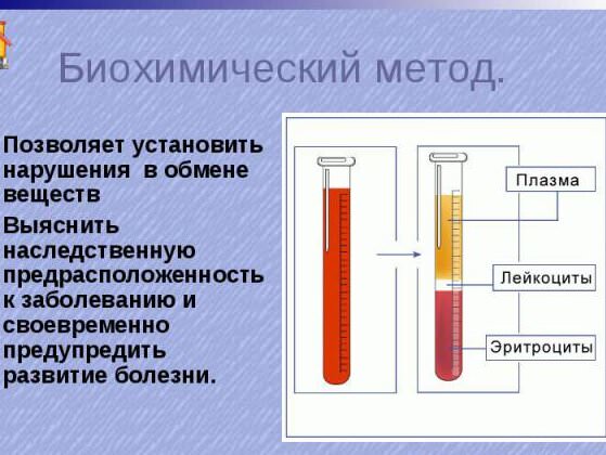 Биохимический анализ крови