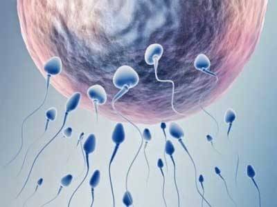 Олигоастенотератозооспермия и естественная беременность