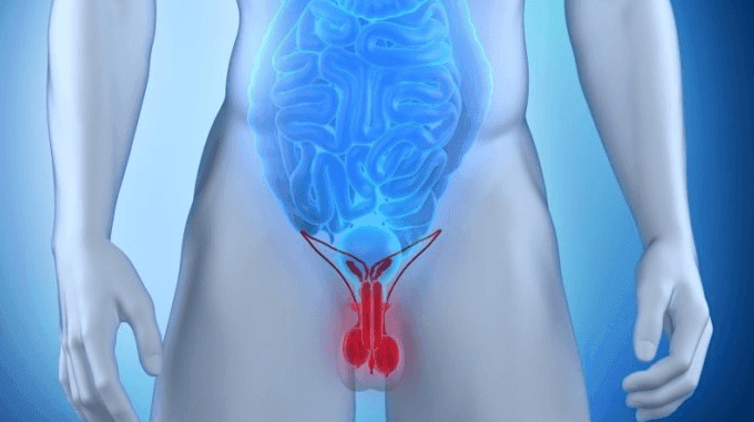 Может ли быть кровь в сперме после биопсии простаты